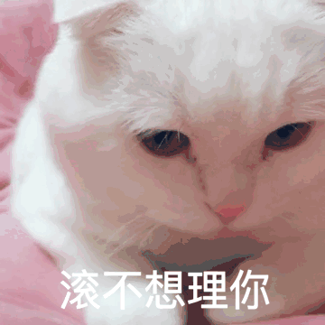 可爱猫带字表情包GIF图片