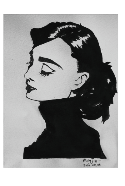 黑白插画临摹奥黛丽赫本