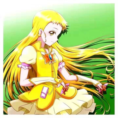 战队光之美少女散发