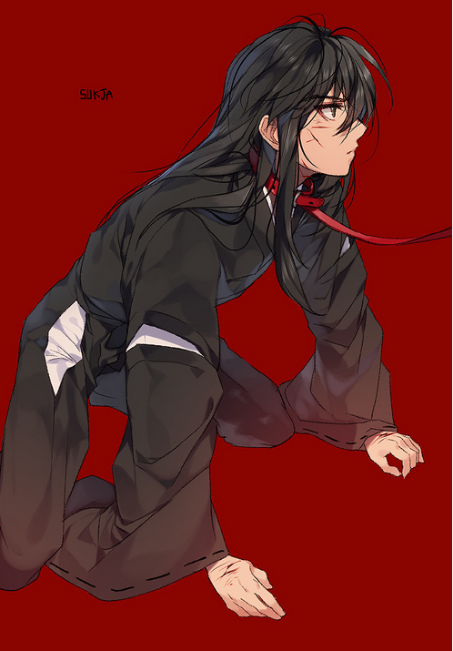 杀生丸和犬夜叉
