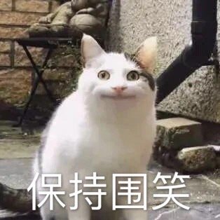 猫咪保持围笑微笑