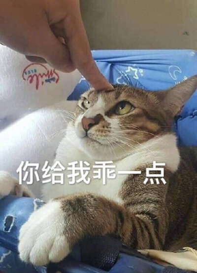 你给我听话一点