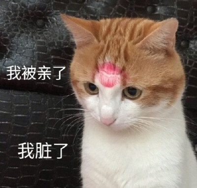 海盐脏脏蛋糕