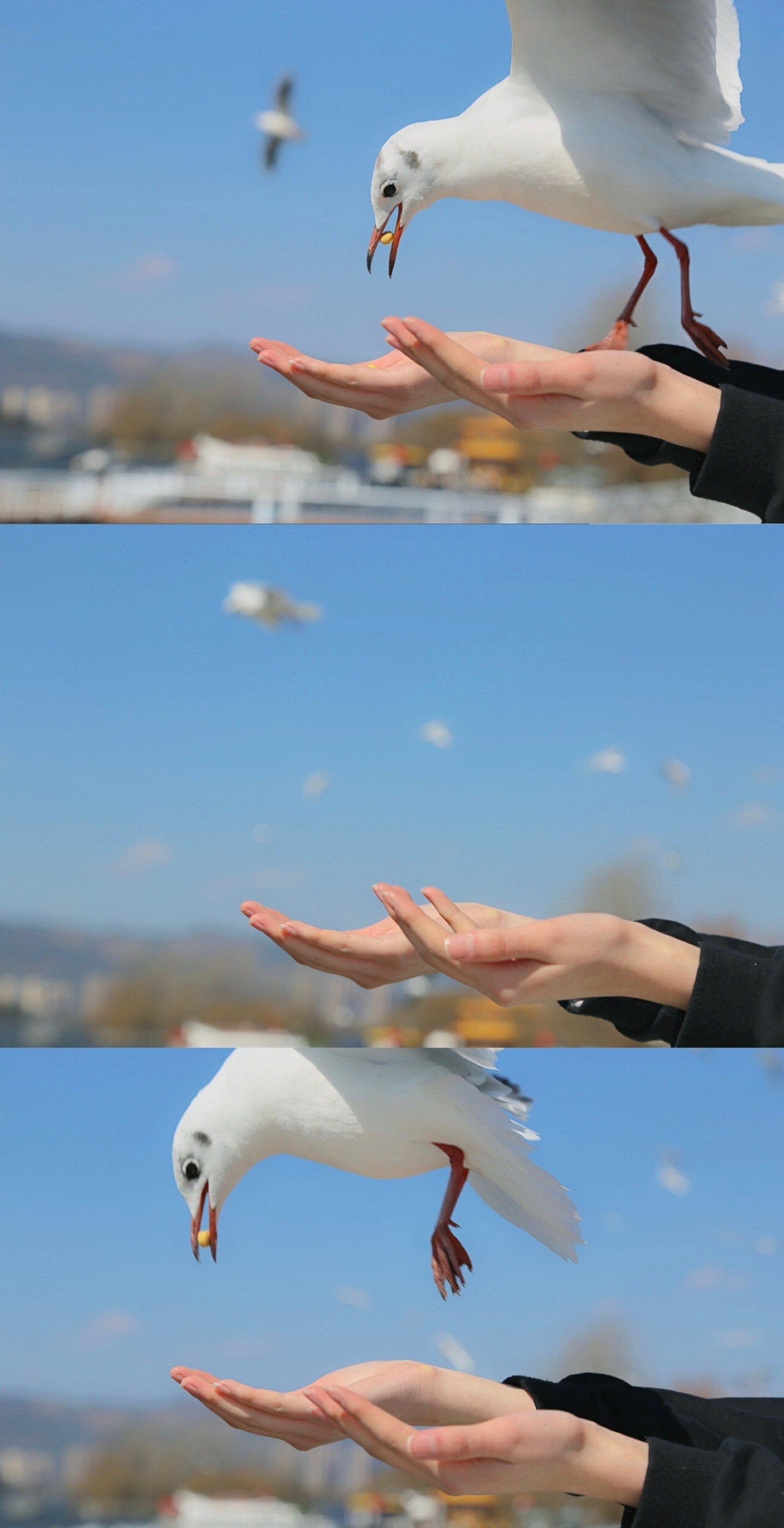 手控壁纸女生图片