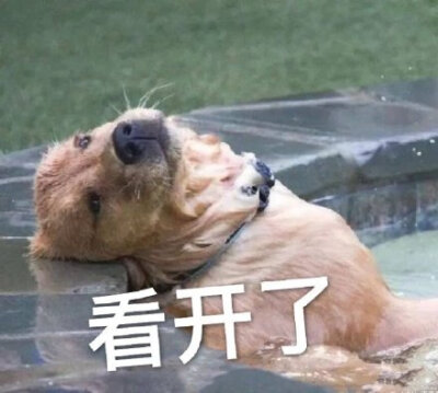 看开表情包