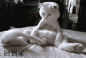 回到家发呆