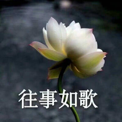 中老年k歌头像图片