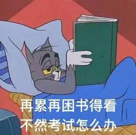 猫和老鼠沙雕