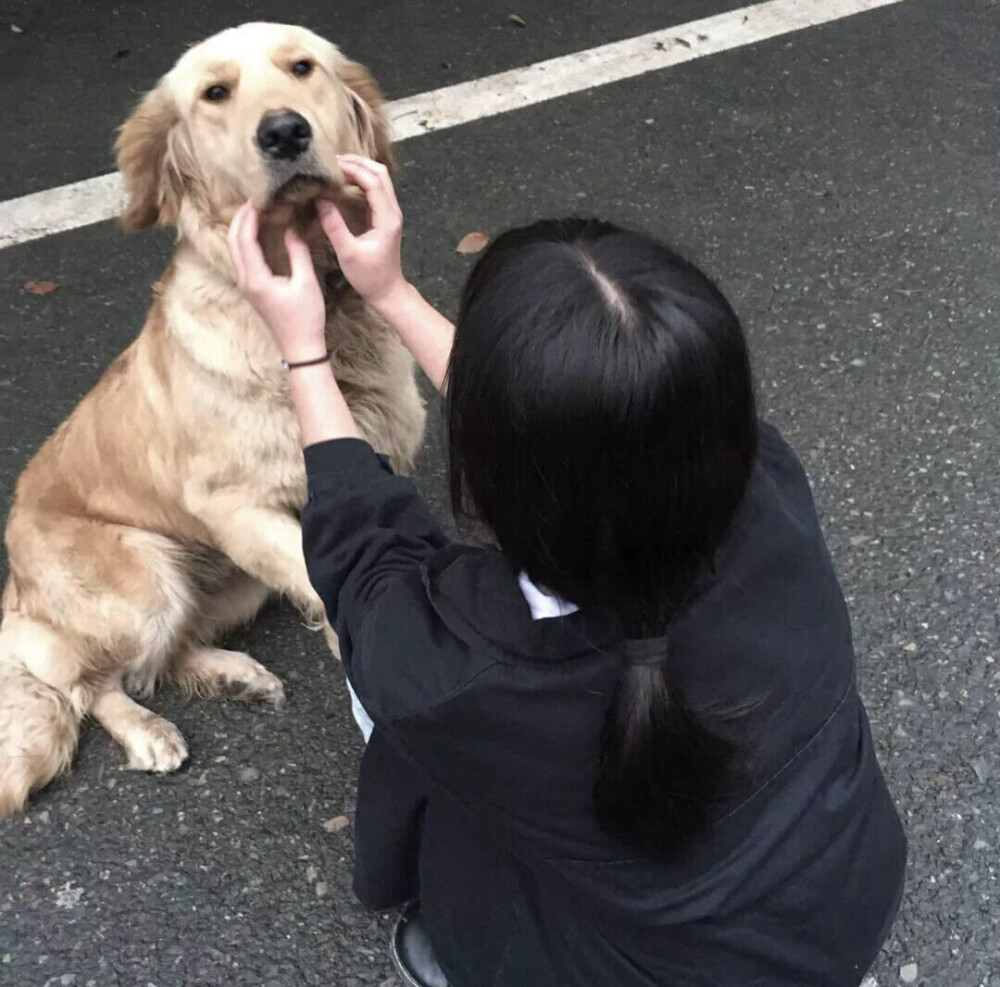 女孩和狗的微信头像图片