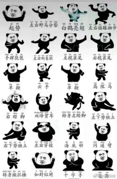 太极熊猫表情包图片