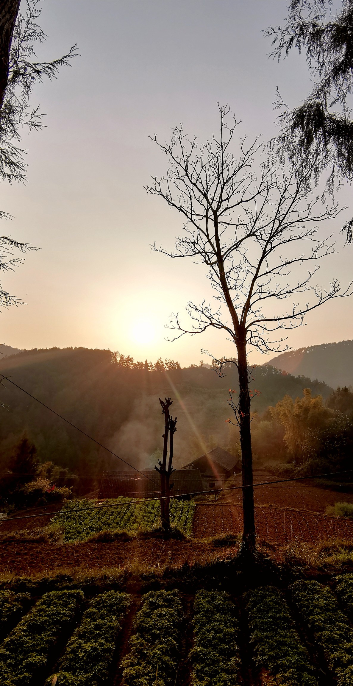 春晚夕阳下的炊烟袅袅.