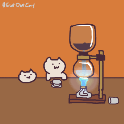 everyday one cat 表情包 沙雕网红猫