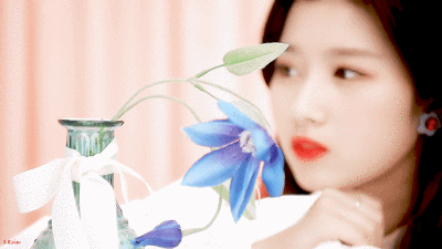 凑崎纱夏sana - 堆糖,美图谥叫巳ど缜