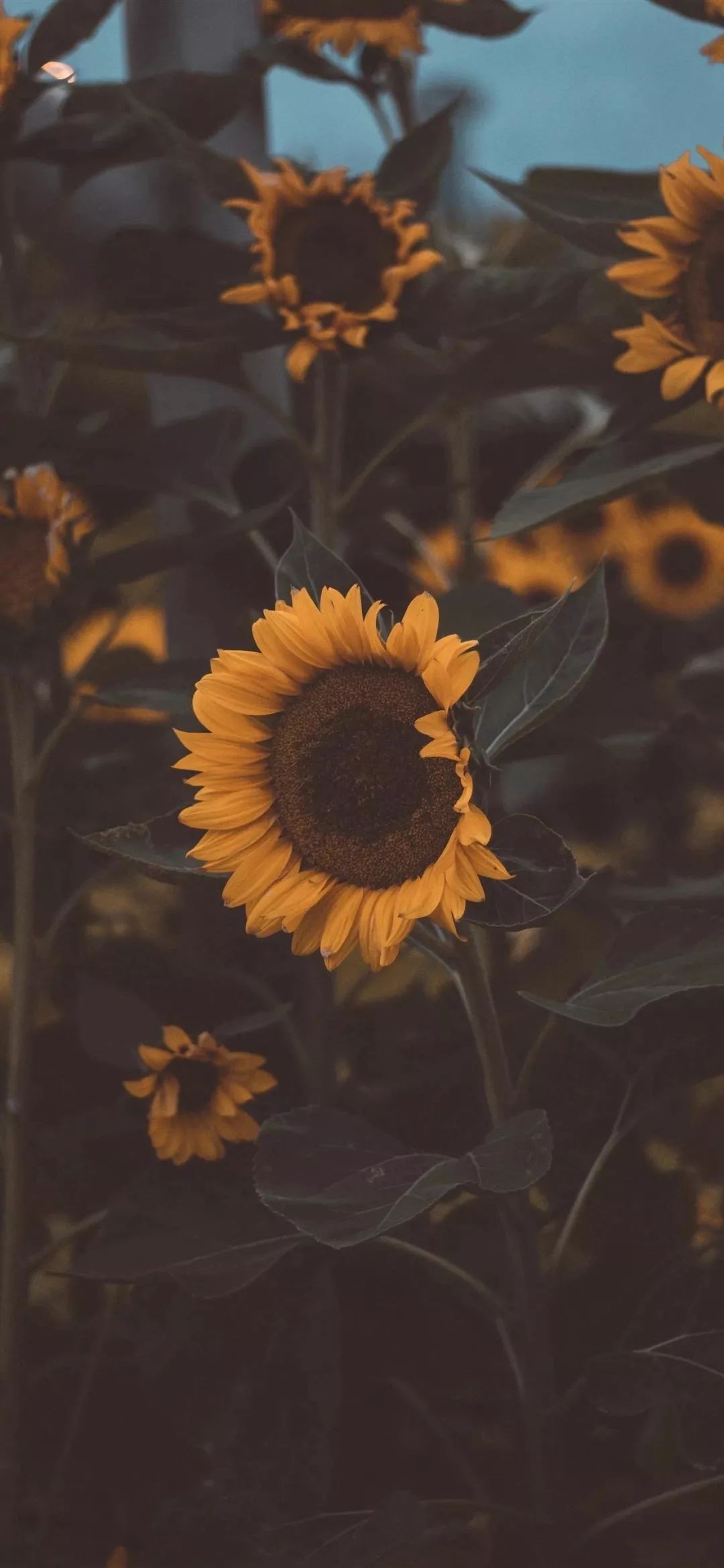 潮图- 堆糖,美图壁纸兴趣社区