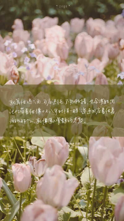 这是苏木里的《某某》里面的句子,字不是我写的喔～很心动,不是