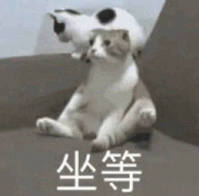 沙雕- 堆糖,美图壁纸兴趣社区
