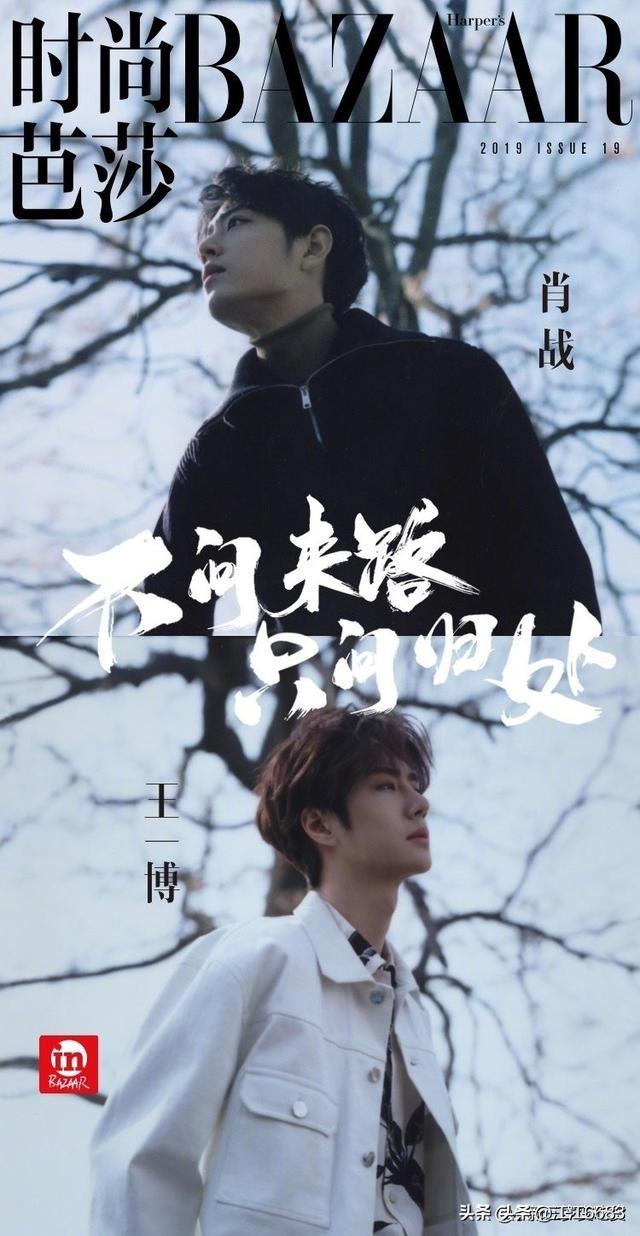 无羁