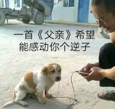 逆子表情包