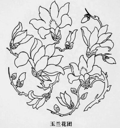 单独纹样图案 花卉图片
