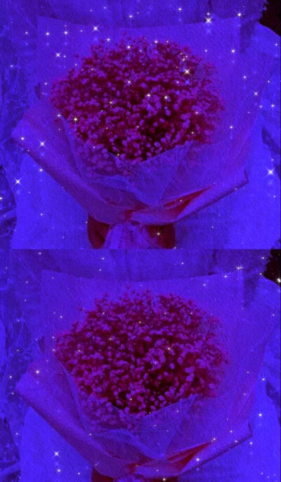 有一种花叫满天星它的花语是,我甘愿做配角瞒着所有爱你,我携满天星辰