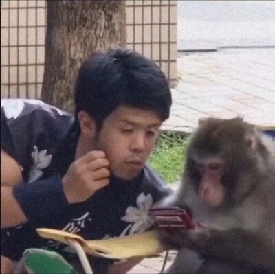 沙雕头像群头