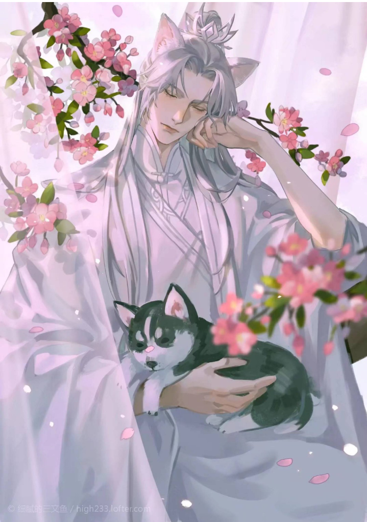 二哈和他的白猫师尊