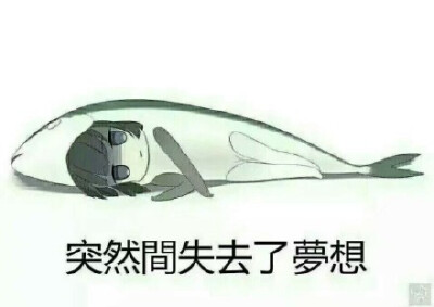 一条咸鱼失去了梦想