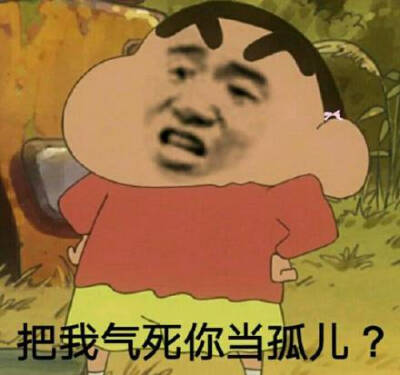把我气死你当孤儿(小新表情包)