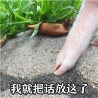 猪手图片表情图片