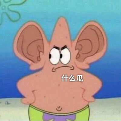 瓜子鼠表情包