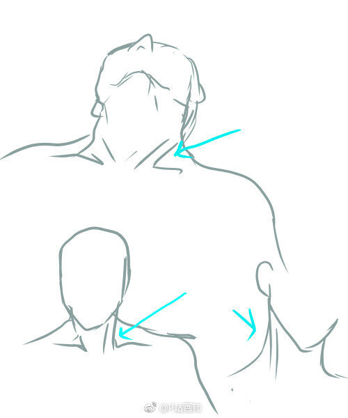 肩颈关系绘画图片