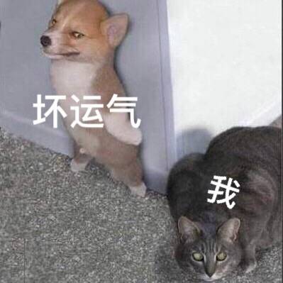 坏运气 vs 我
