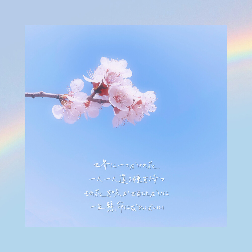 世界上唯一的花