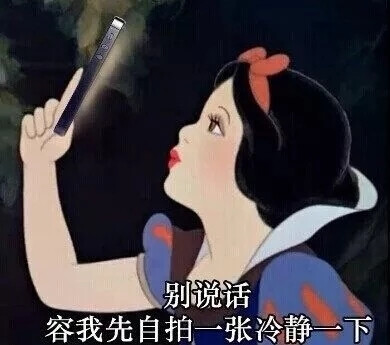 迪斯尼公主沙雕表情包
