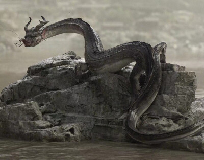 "潜龙."数字艺术家 guodong 转自qq空间