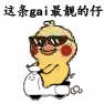 这条gai 最靓的仔(小黄鸡骑电动车)