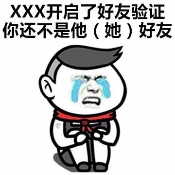 xxx开启了好友验证你还不是他