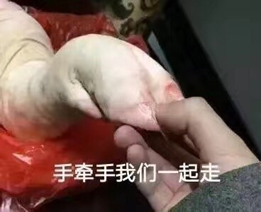 牵手 一起走