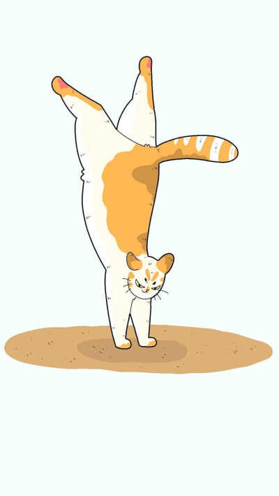 小清新 壁纸 插画 猫咪