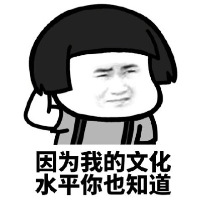 因为我的绘画水平你也知道表情包