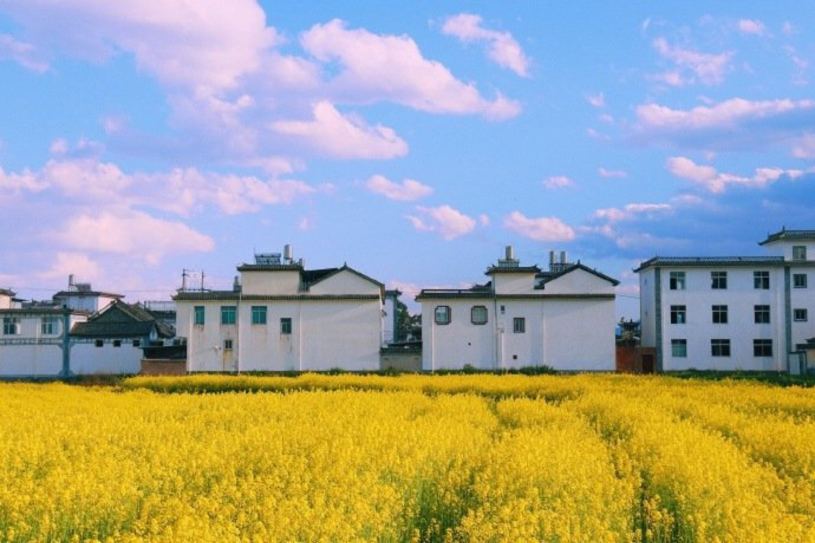 背景图 风景壁纸 聊天背景 ins潮图 神仙背景 评论 收藏