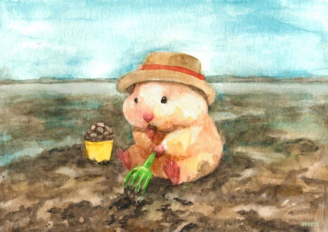 知乎上保存的 仓鼠? - 堆糖,美图壁纸兴趣社区