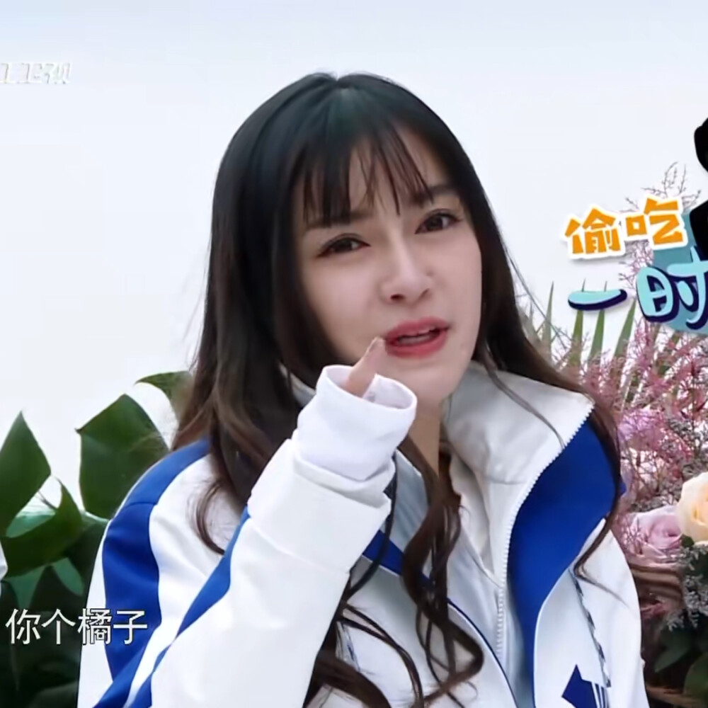 杨颖《奔跑吧》 /简介