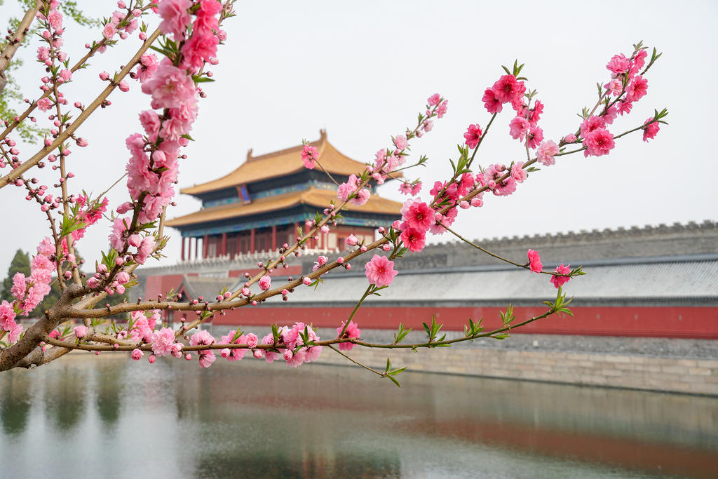 故宫 神武门 - 堆糖,美图壁纸兴趣社区