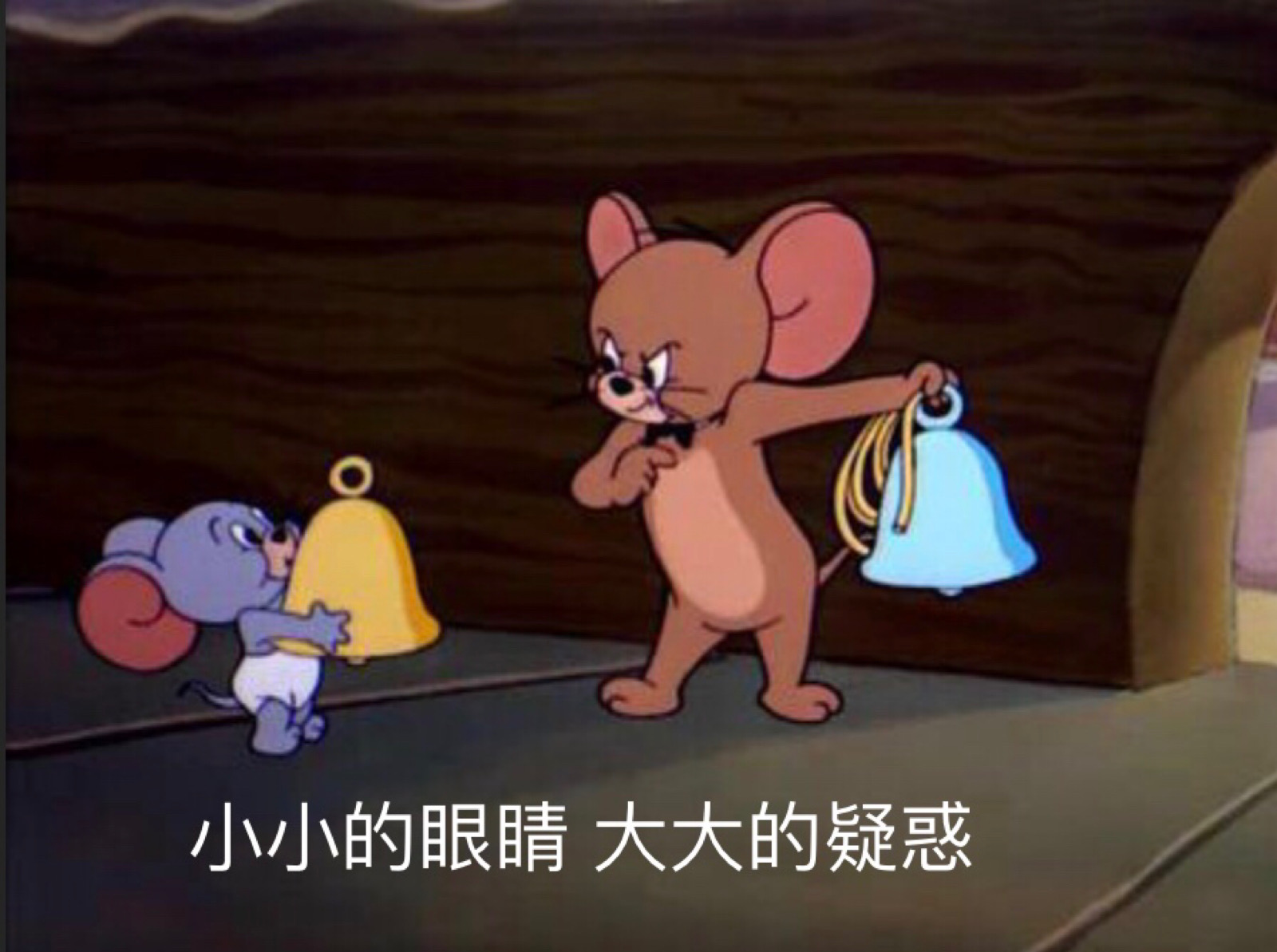 萌萌小泰菲
