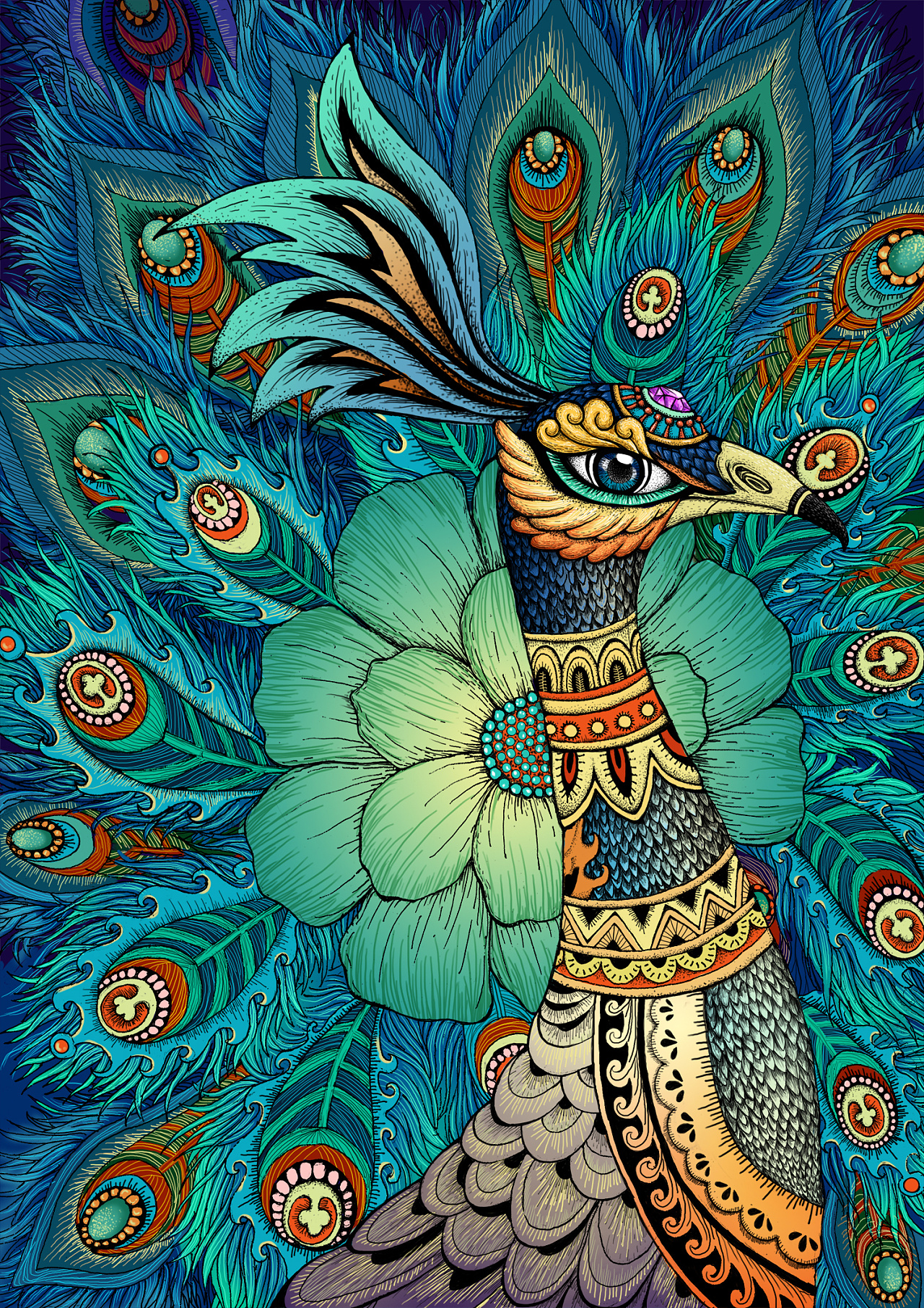 孔雀 原创插画 作者健美糖