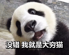 没错就是我表情包