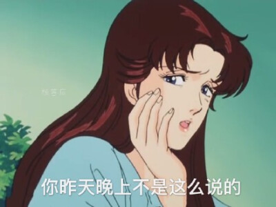 你昨天晚上不是这么说的(城市猎人 渣女表情包)