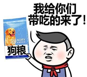 狗粮图片表情包图片