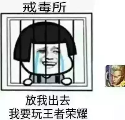 戒毒所放我出去,我要玩王者荣耀